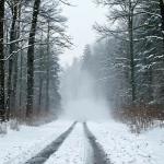 Фотодокумент 31 от МЧС
